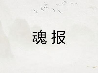 魂报