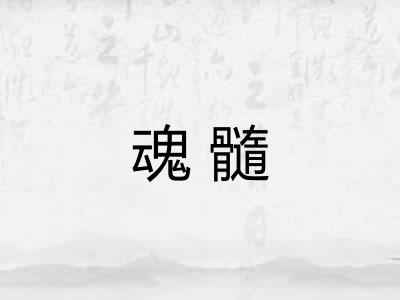 魂髓