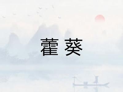 藿葵