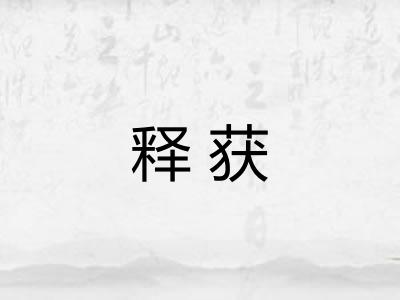 释获