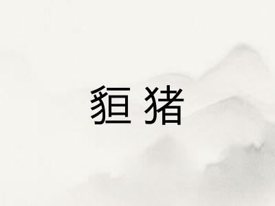 貆猪 貆猪
