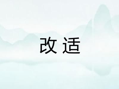 改适