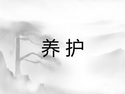 养护