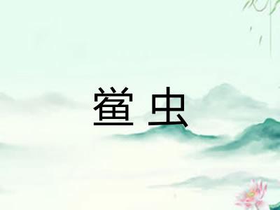 鲎虫