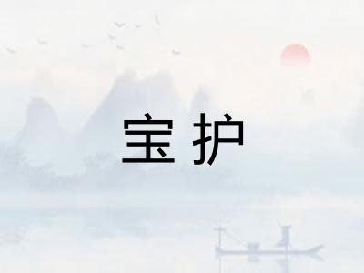 宝护