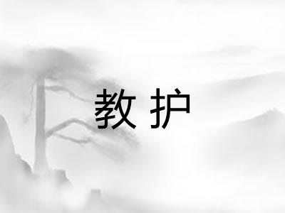 教护
