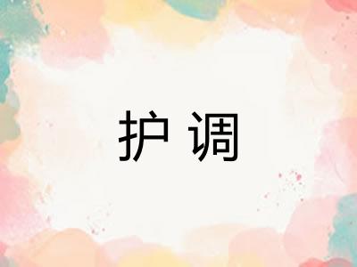 护调