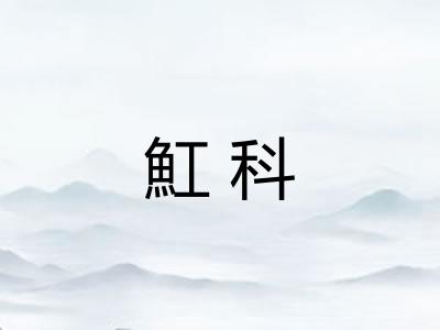 魟科 魟科
