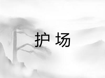 护场