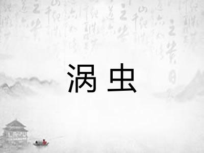 涡虫