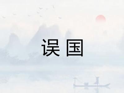 误国