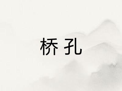 桥孔 桥孔