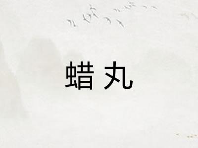 蜡丸