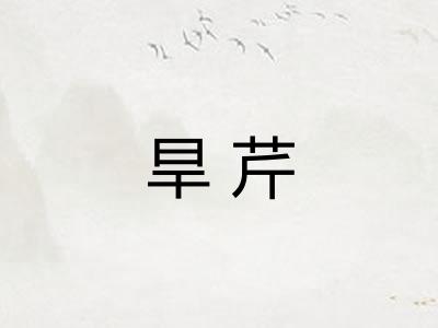 旱芹