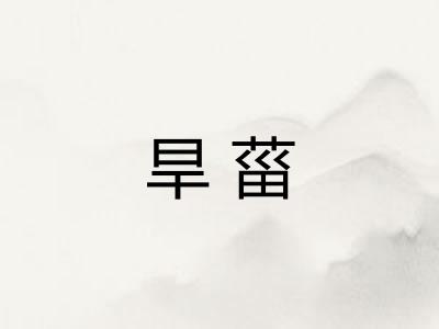 旱菑