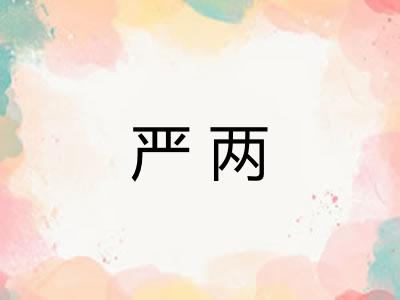 严两 严两