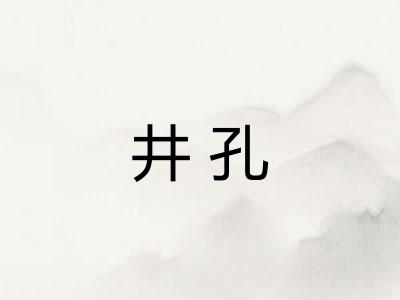 井孔