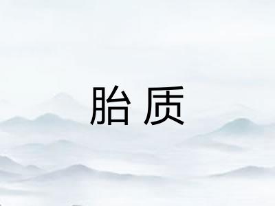 胎质