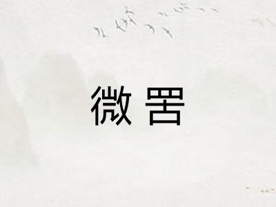 微罟