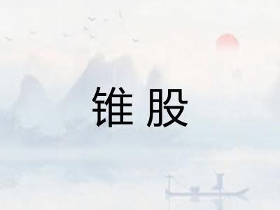 锥股