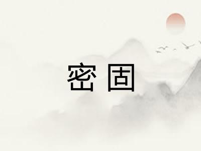 密固