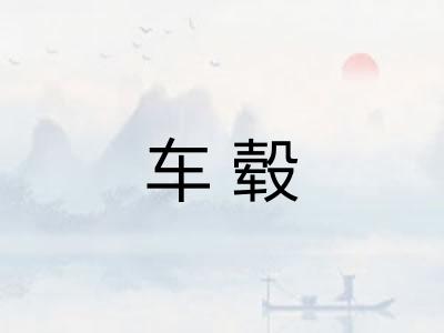 车毂