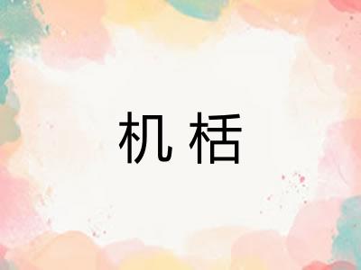 机栝
