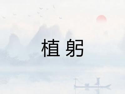 植躬