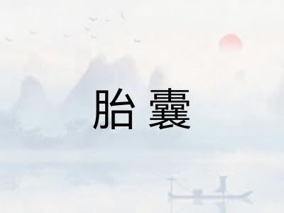 胎囊 胎囊