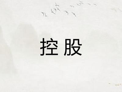 控股