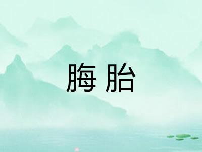 脢胎