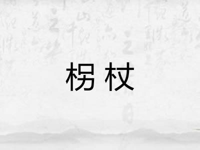 柺杖 柺杖