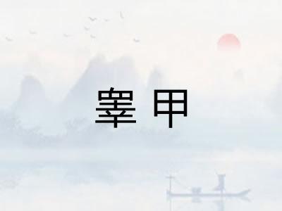 睾甲