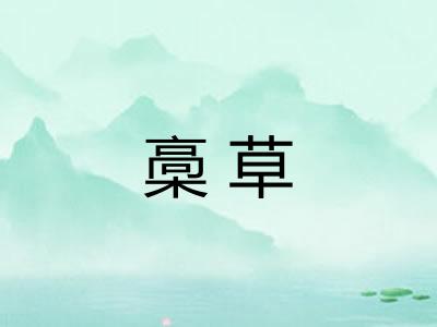 槀草