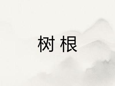 树根