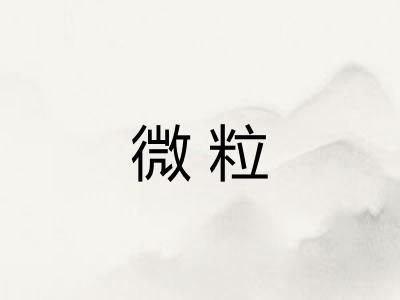 微粒