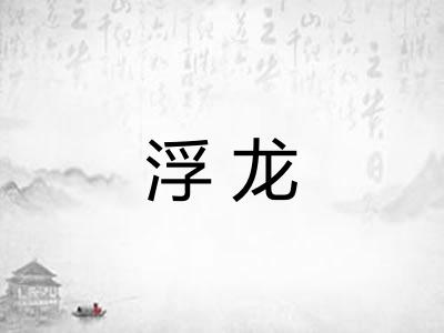 浮龙