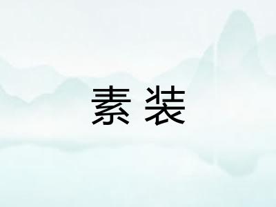 素装