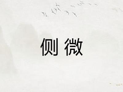 侧微 侧微