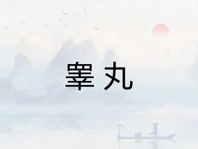 睾丸