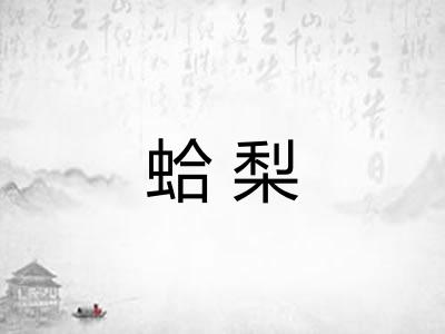 蛤梨