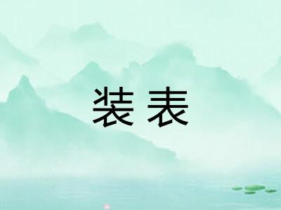 装表