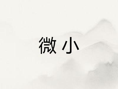 微小