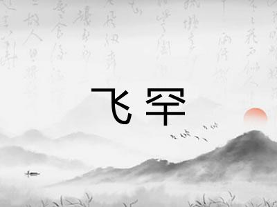 飞罕