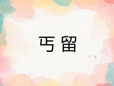丐留