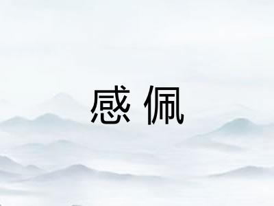 感佩