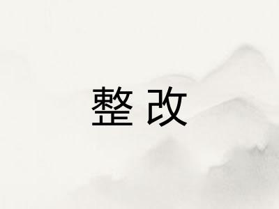 整改