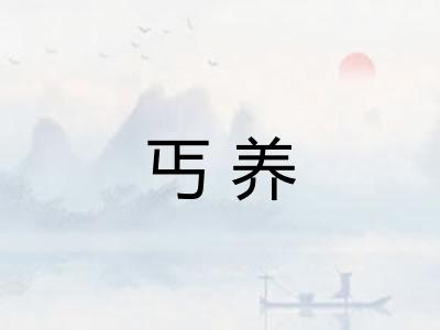 丐养