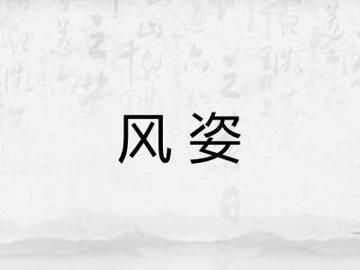 风姿