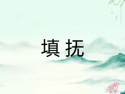 填抚